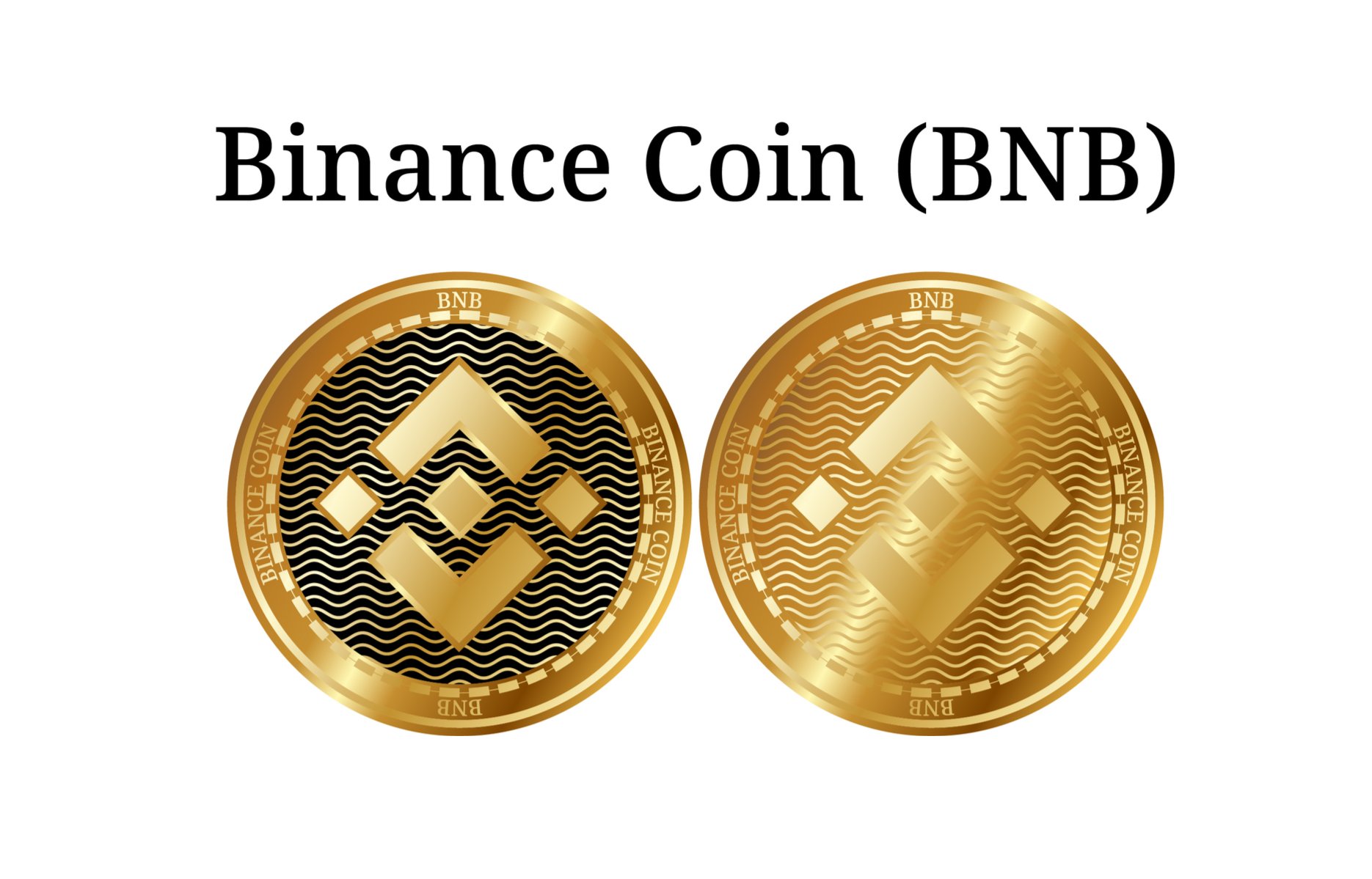 What is BNB chain Ecosystem? Benefits and Top 10 BNB Coins