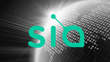 Recover Your Loss With Sia Coin